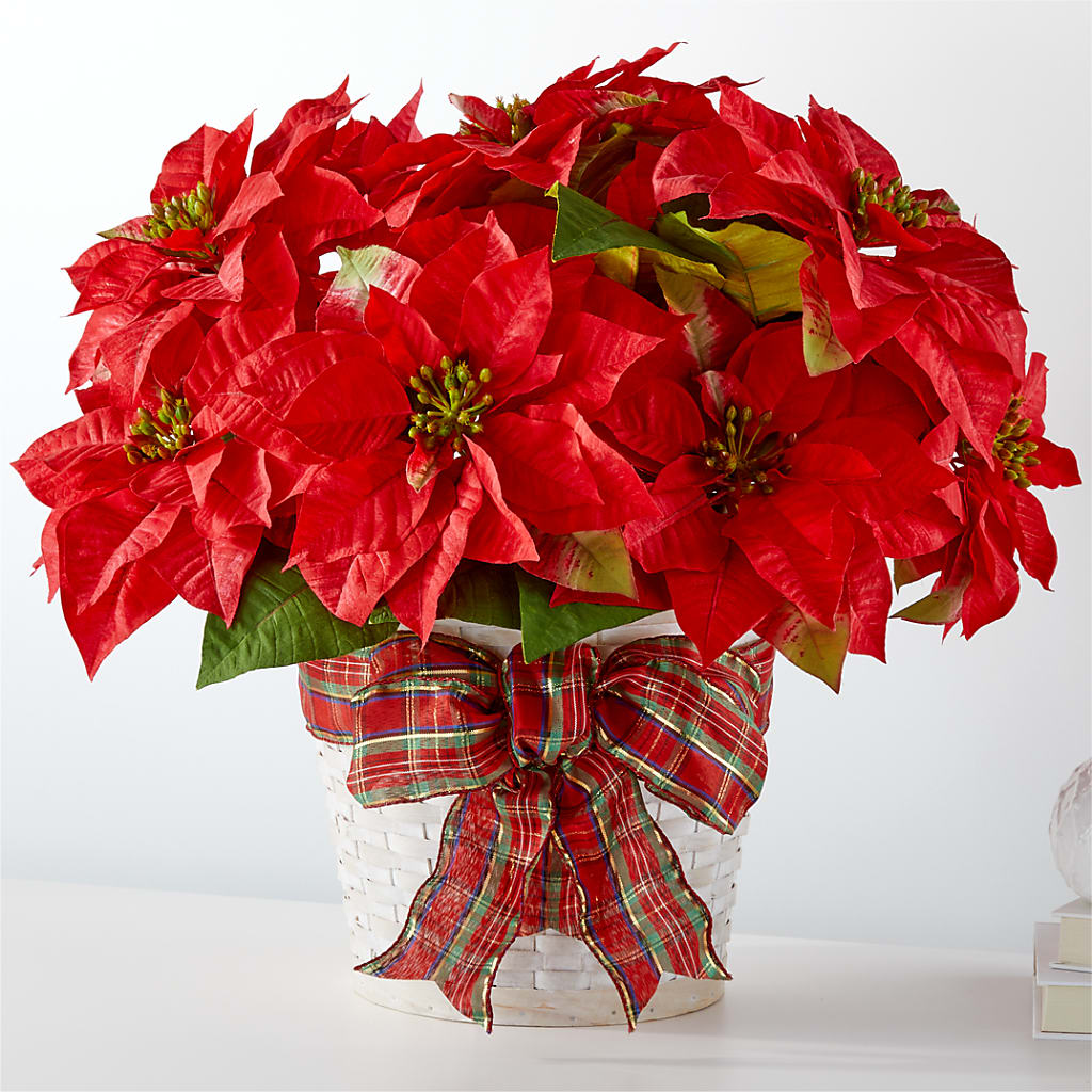 Happiest Holidays Poinsettia – Secret Garden Atx, Hutto TX