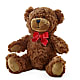 Adorable Plush Bear – Secret Garden Atx, Hutto TX