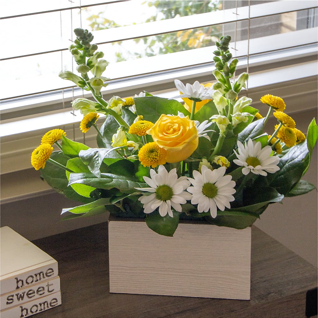 Sun Salutation Box Bouquet – Secret Garden Atx, Hutto TX