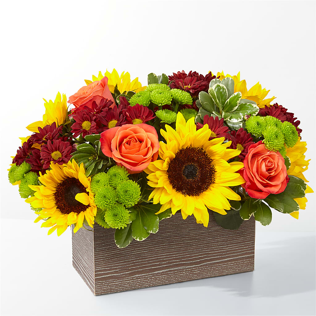 Happy Harvest Garden – Secret Garden Atx, Hutto TX