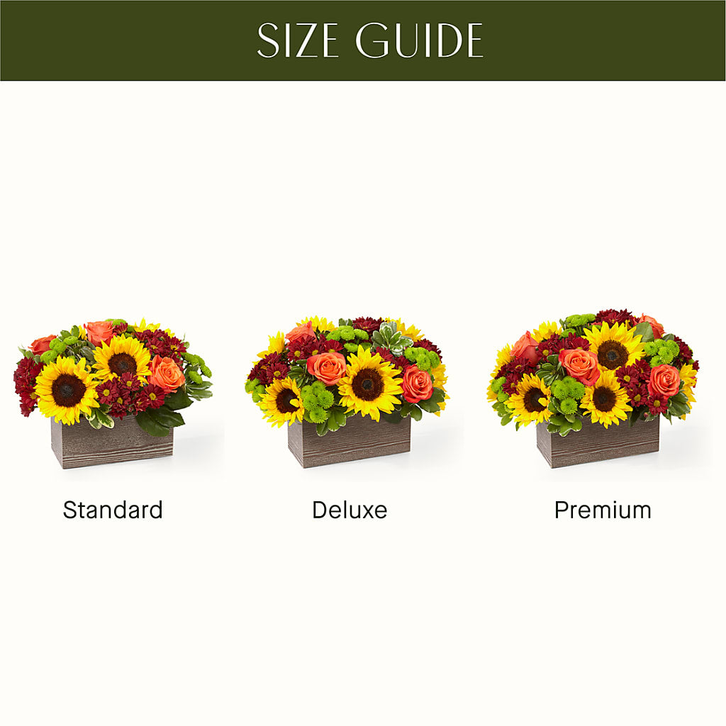 Happy Harvest Garden – Secret Garden Atx, Hutto TX