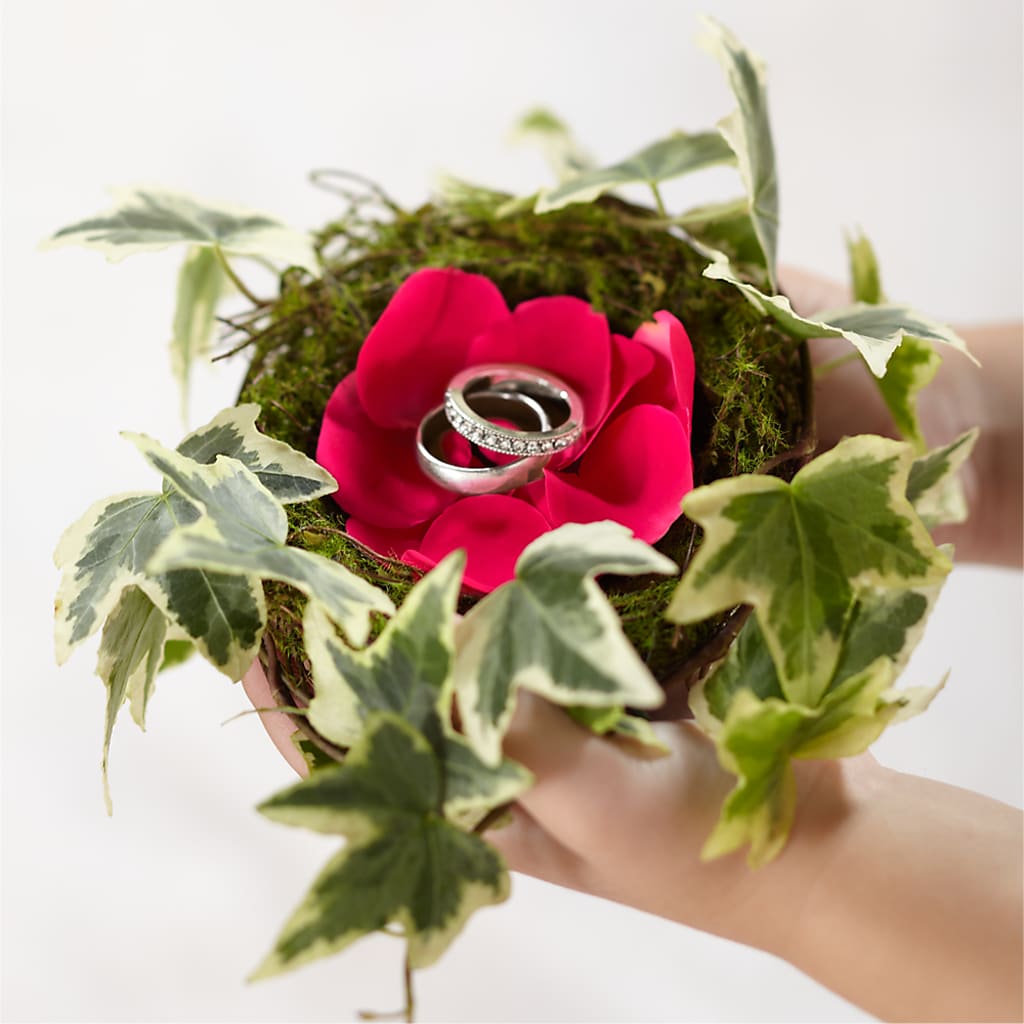 Lila Rose Ring Nest – Secret Garden Atx, Hutto TX
