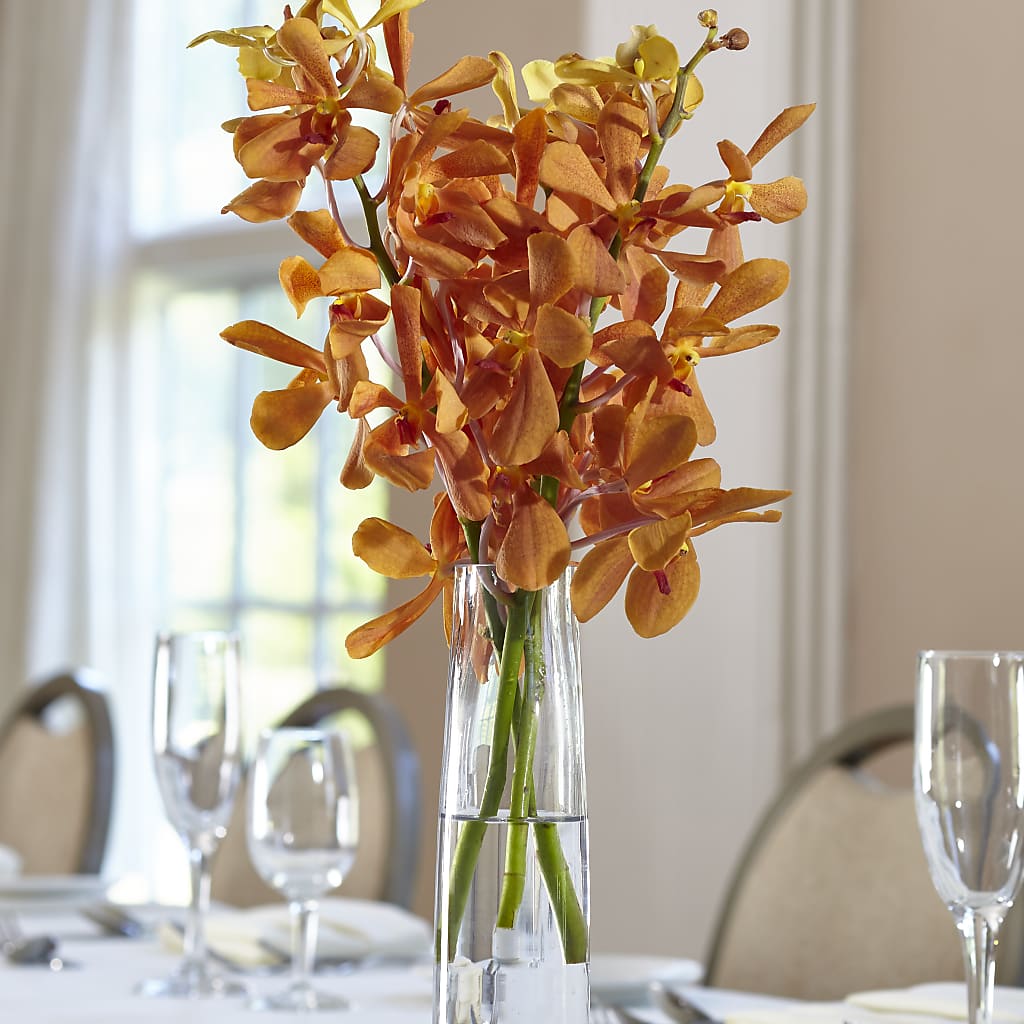 Orange Mokara Bud Vase – Secret Garden Atx, Hutto TX