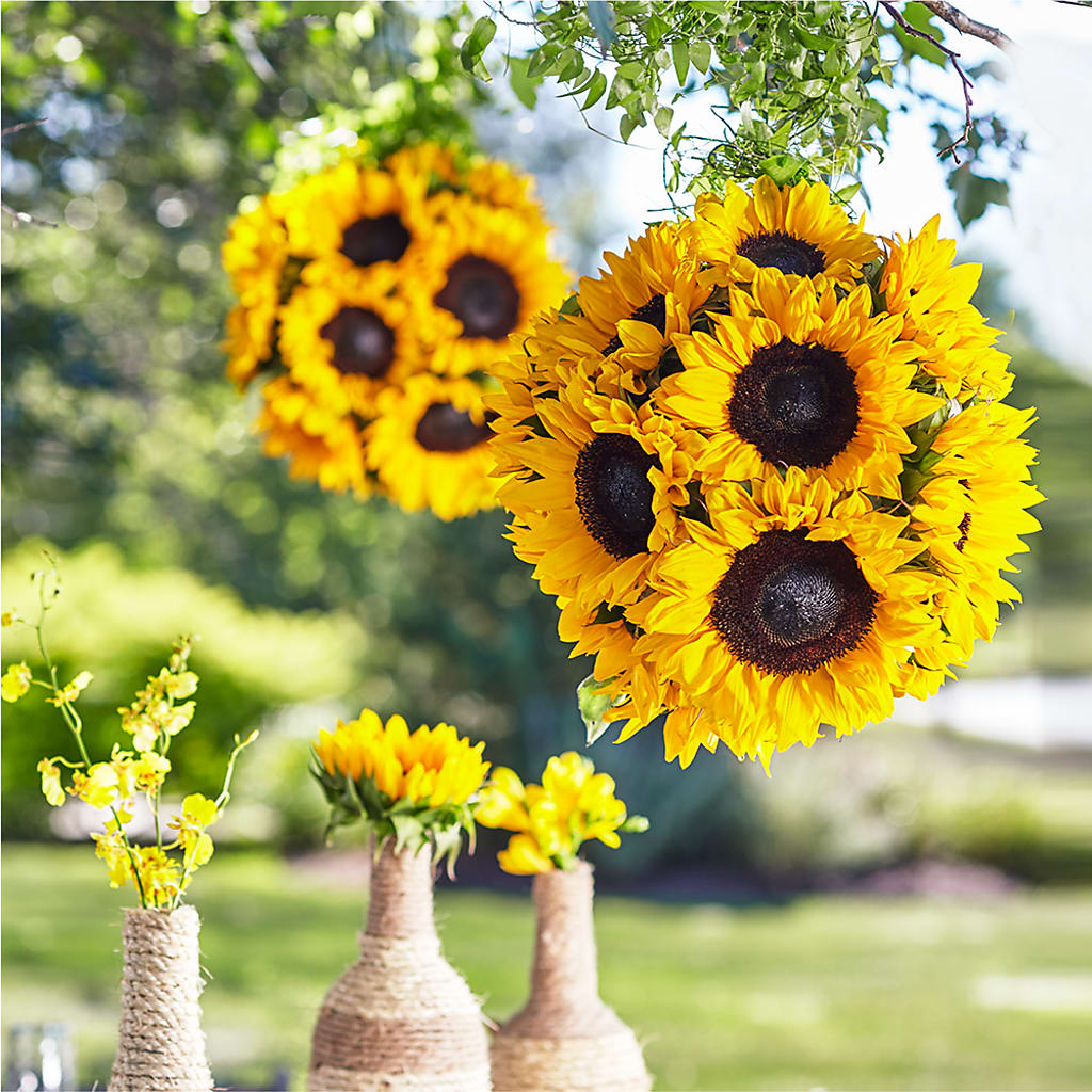 Sublime Garden Hanging Arrangement – Secret Garden Atx, Hutto TX