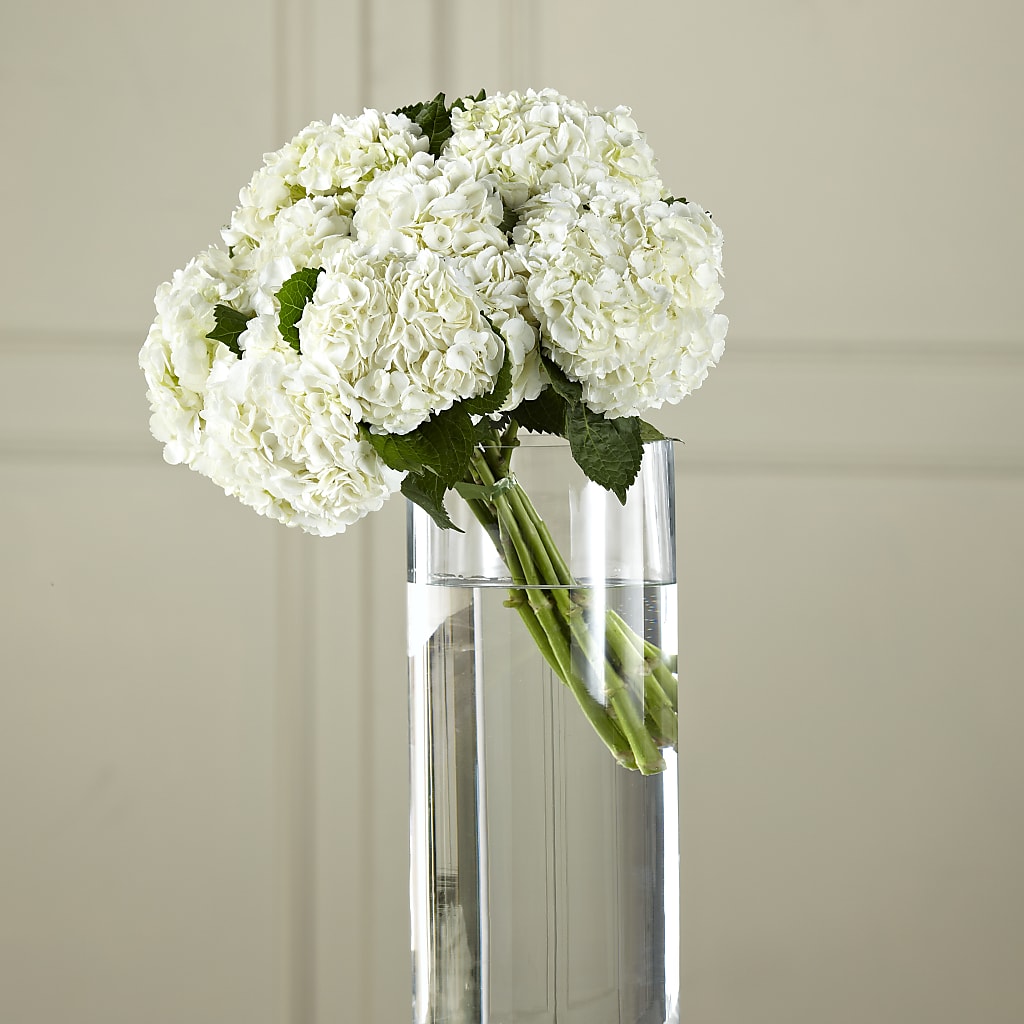 White Hydrangea Hand-Tied Bouquet – Secret Garden Atx, Hutto TX