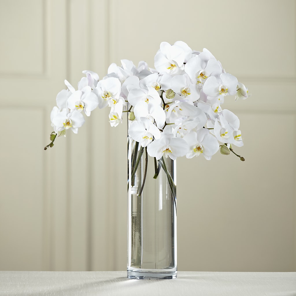 White Phalaenopsis Bouquet – Secret Garden Atx, Hutto TX