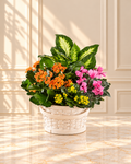 Tropical Bloom Basket