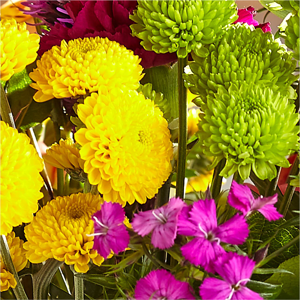Bold & Bright – A Florist Original –  Secret Garden Atx, Hutto TX