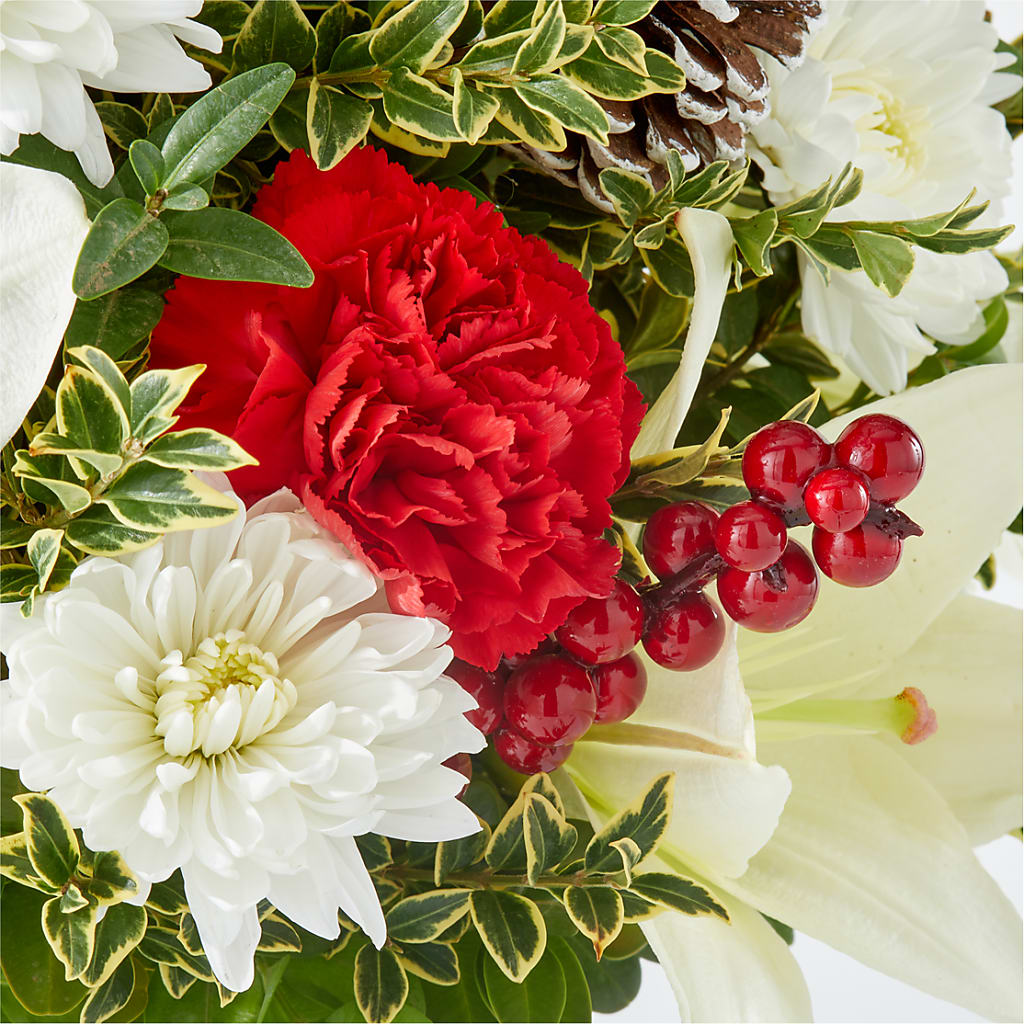 Festive Moments Tree –  Secret Garden Atx, Hutto TX