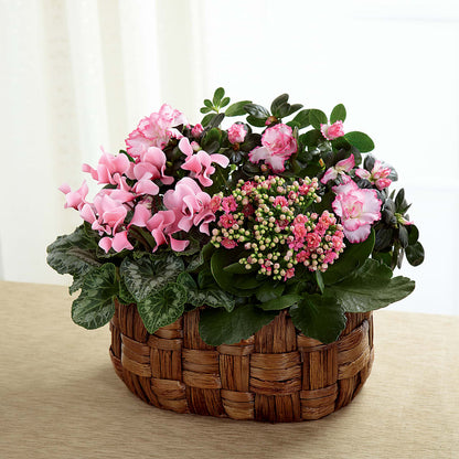 Pink Assortment –  Secret Garden Atx, Hutto TX
