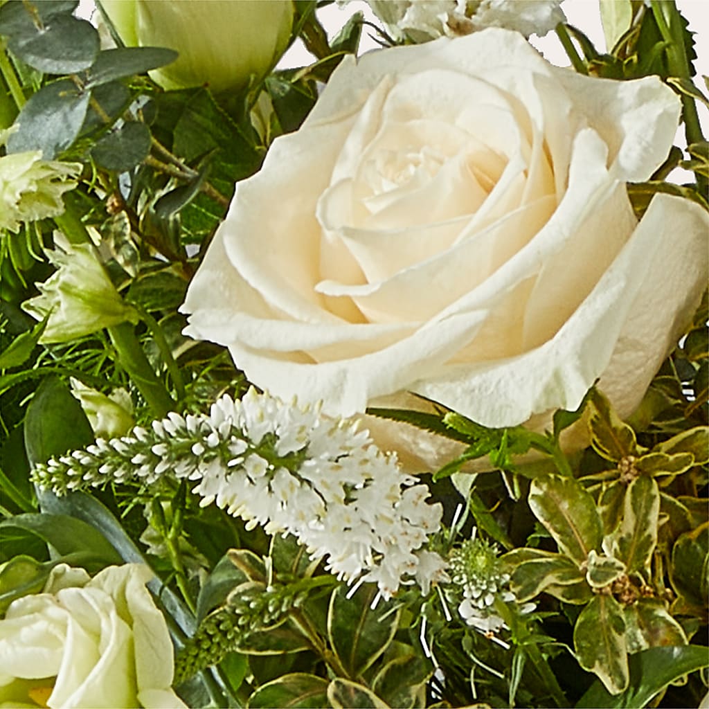 Cashmere Bouquet –  Secret Garden Atx, Hutto TX