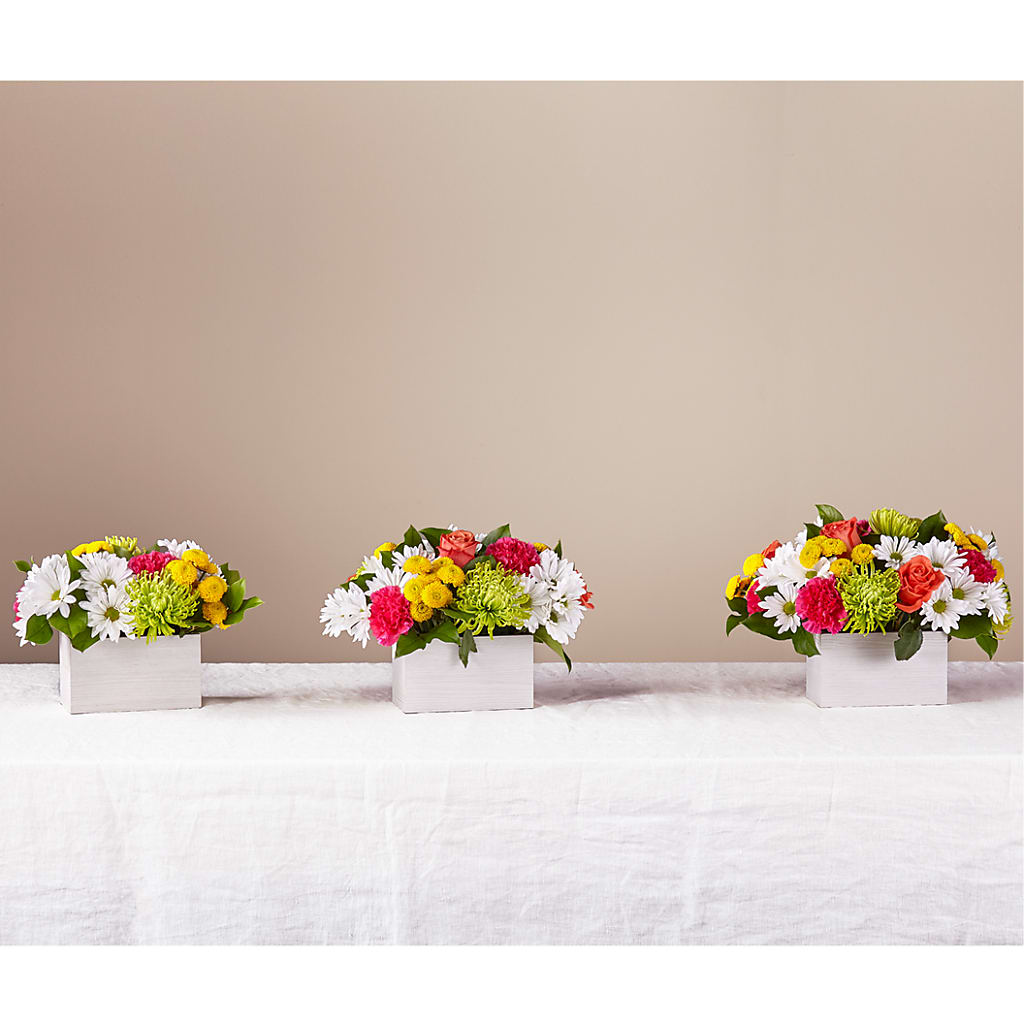 Sorbet Bouquet –  Secret Garden Atx, Hutto TX