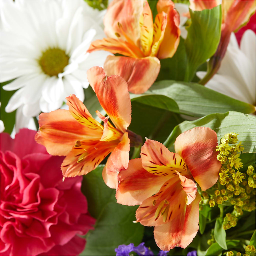 Oopsie Daisy Box Bouquet –  Secret Garden Atx, Hutto TX