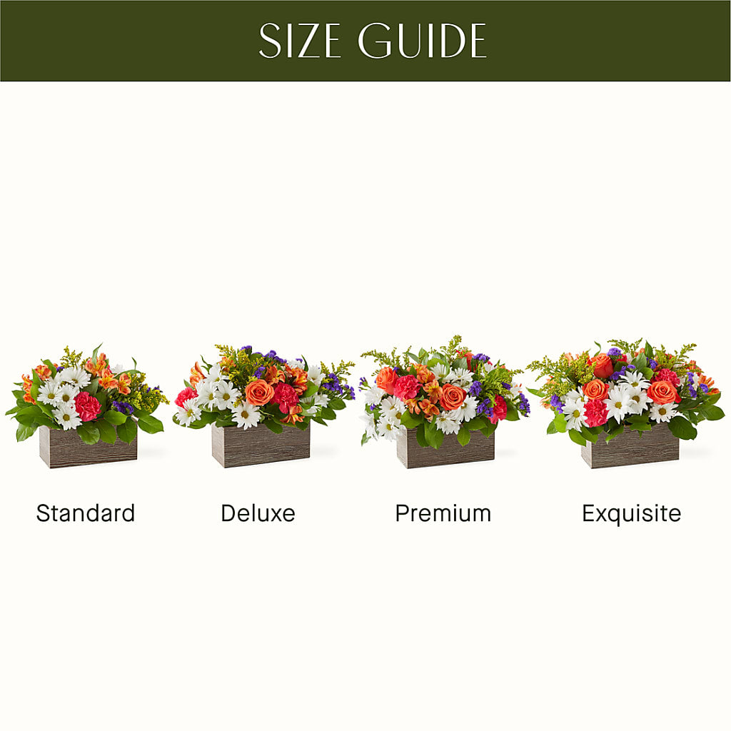Oopsie Daisy Box Bouquet –  Secret Garden Atx, Hutto TX