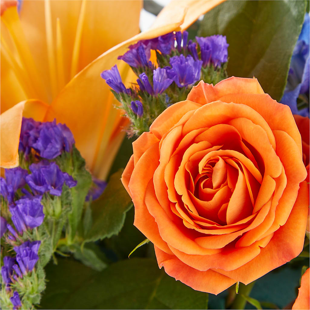 Radiant Citrus Box Bouquet –  Secret Garden Atx, Hutto TX