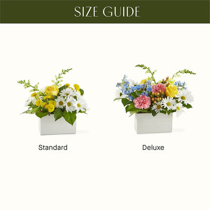 Sun Salutation Box Bouquet –  Secret Garden Atx, Hutto TX