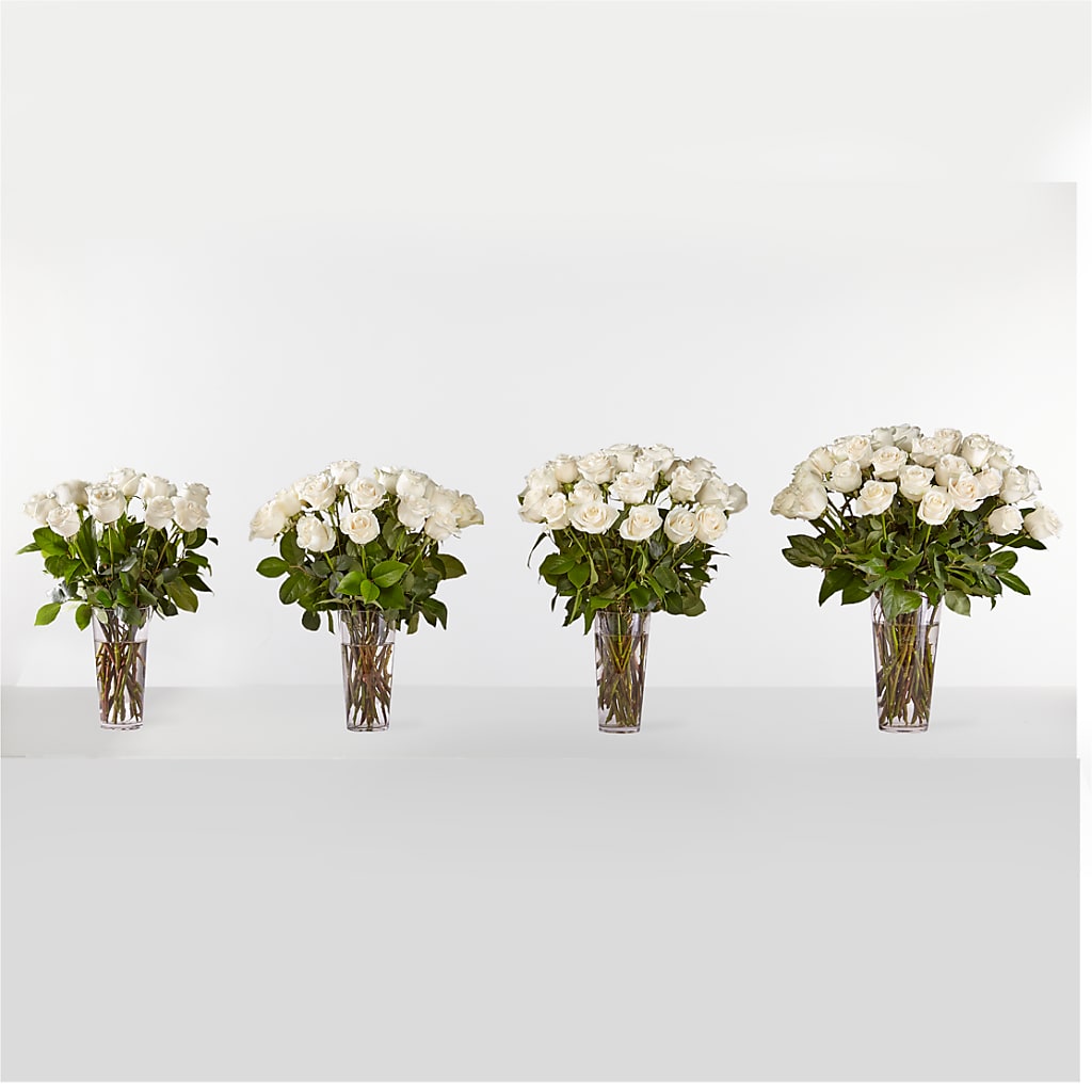 Long Stem White Rose Bouquet –  Secret Garden Atx, Hutto TX