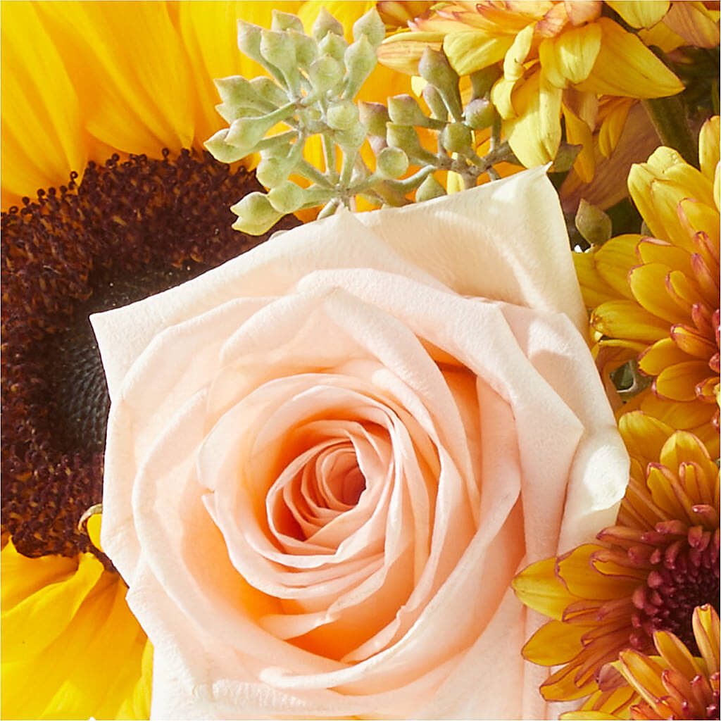 Pumpkin to Talk About Bouquet –  Secret Garden Atx, Hutto TX