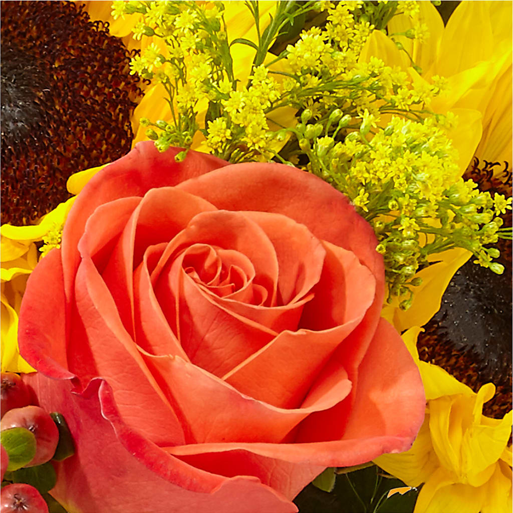 Pick of the Patch Pumpkin Bouquet –  Secret Garden Atx, Hutto TX