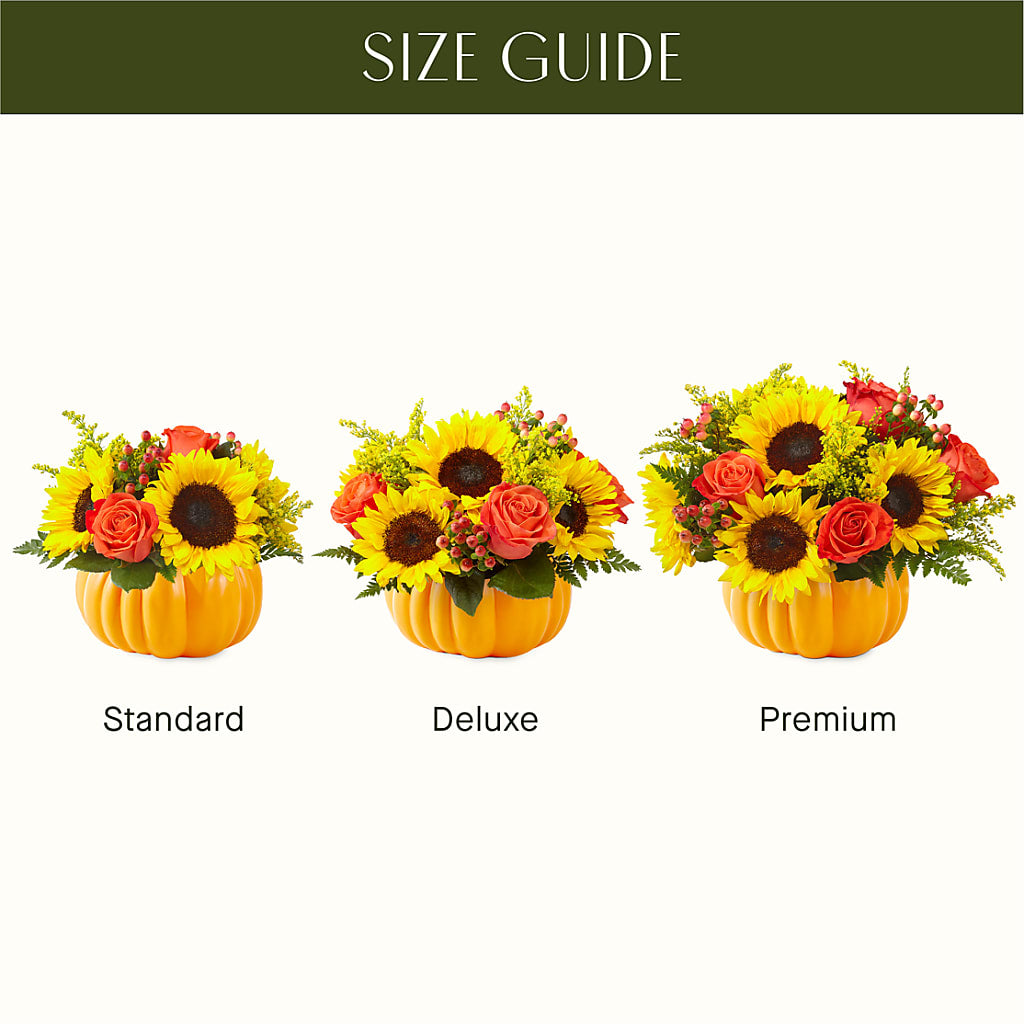 Pick of the Patch Pumpkin Bouquet –  Secret Garden Atx, Hutto TX