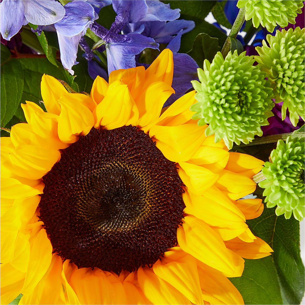 Catching Rays Bouquet –  Secret Garden Atx, Hutto TX