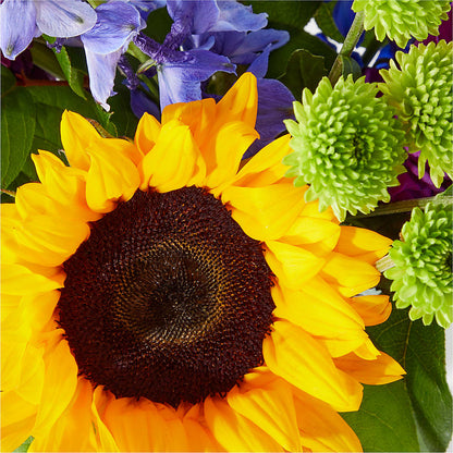 Catching Rays Bouquet –  Secret Garden Atx, Hutto TX