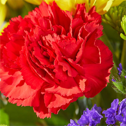 Brighter Days Bouquet –  Secret Garden Atx, Hutto TX