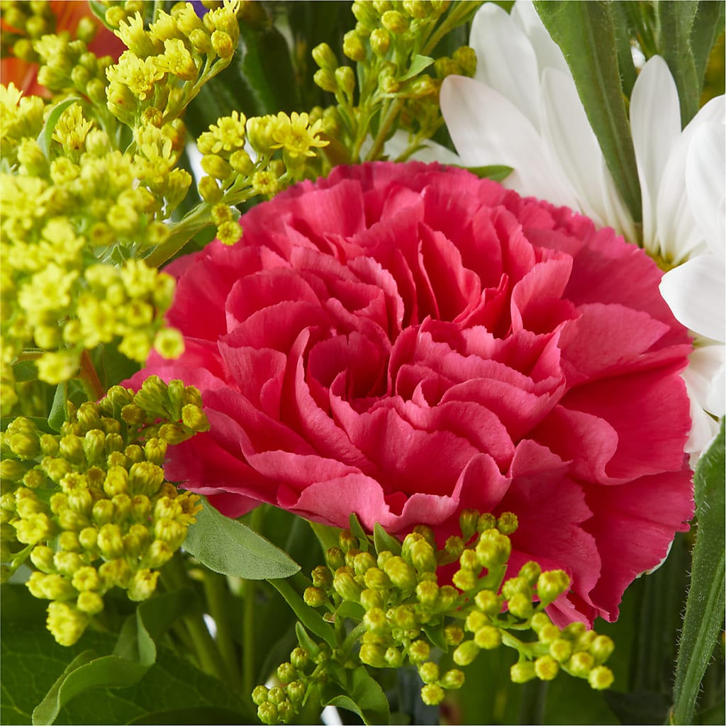 Oopsie Daisy Bouquet –  Secret Garden Atx, Hutto TX
