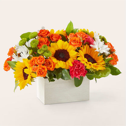 Sun-drenched Blooms Box Bouquet –  Secret Garden Atx, Hutto TX