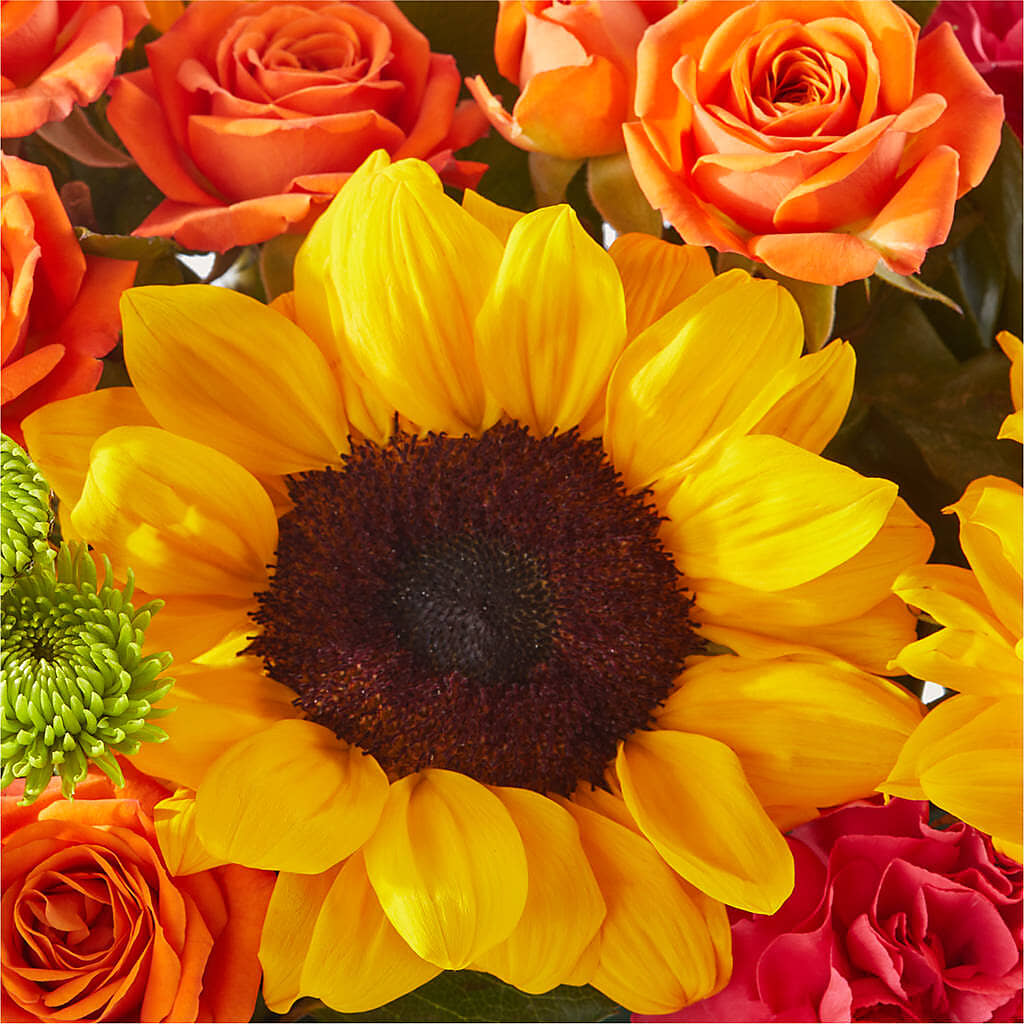 Sun-drenched Blooms Box Bouquet –  Secret Garden Atx, Hutto TX