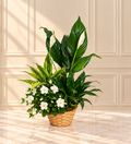 Serenity Garden Basket