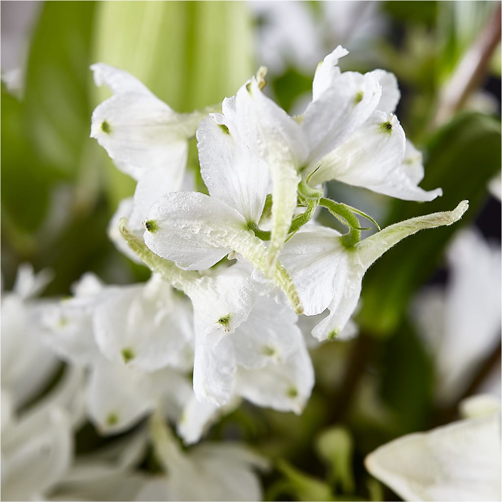 Classic Ivory – A Florist Original –  Secret Garden Atx, Hutto TX