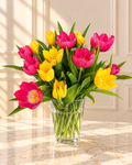 Multicolor Tulips