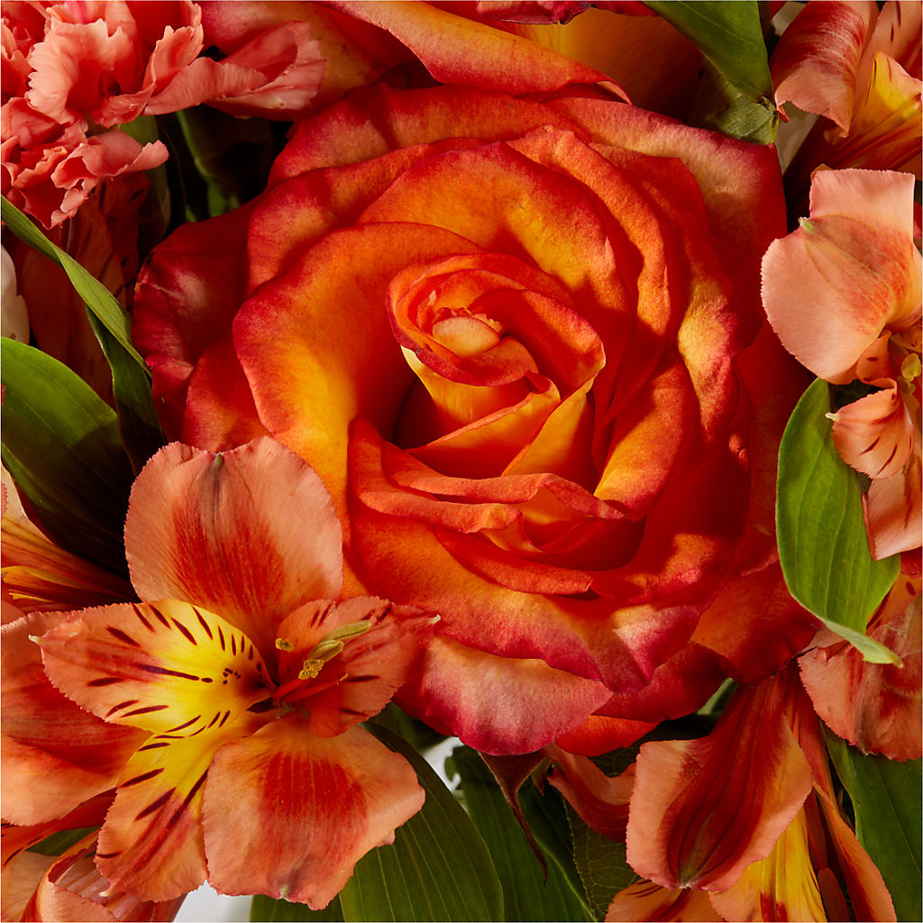 Apricot Glow Bouquet –  Secret Garden Atx, Hutto TX