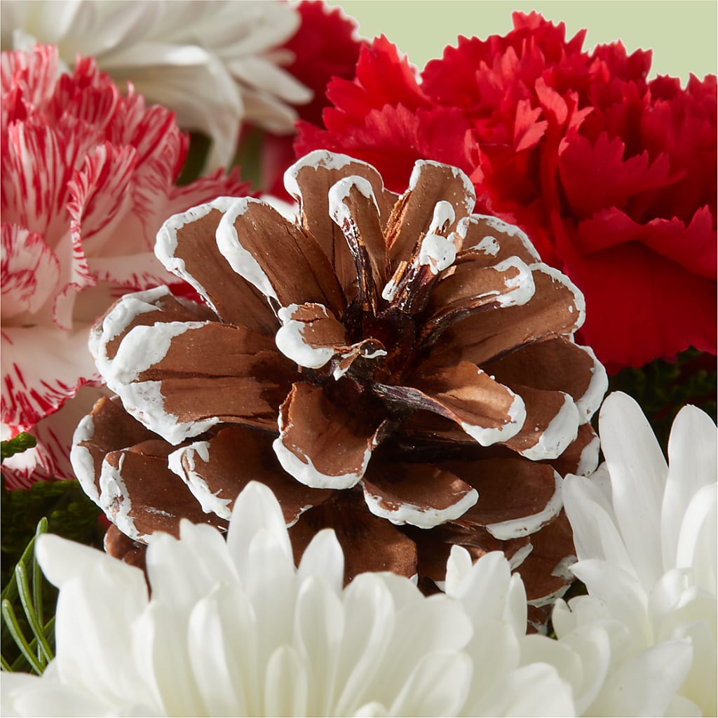 Candy Cane Lane Bouquet –  Secret Garden Atx, Hutto TX