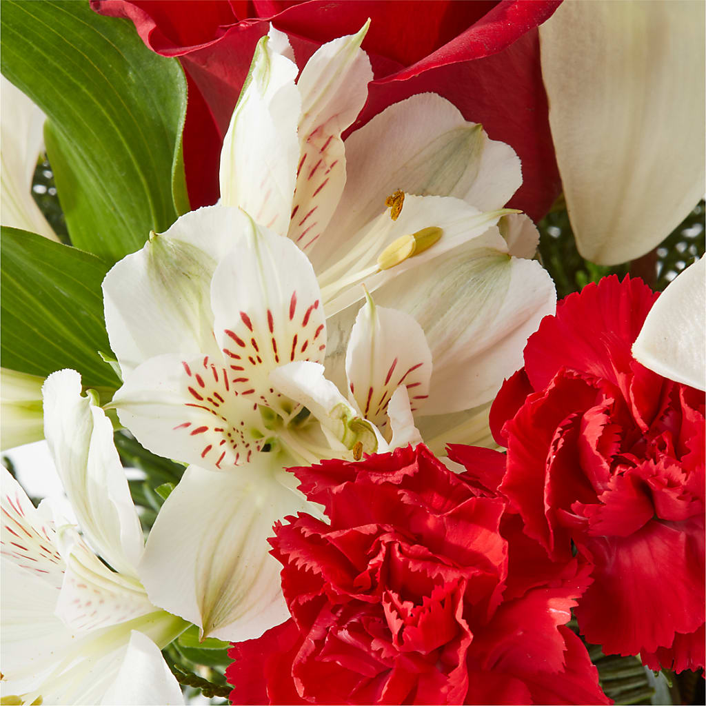 Holiday Season Bouquet –  Secret Garden Atx, Hutto TX