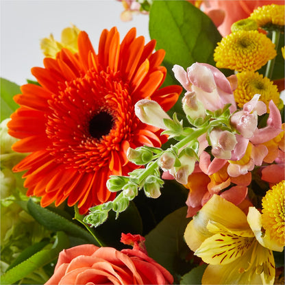 Autumn Sunshine Bouquet –  Secret Garden Atx, Hutto TX