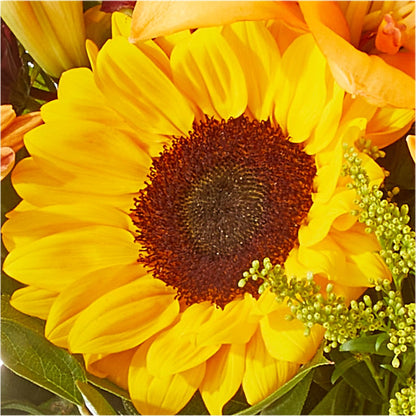 Seasons Change Bouquet –  Secret Garden Atx, Hutto TX