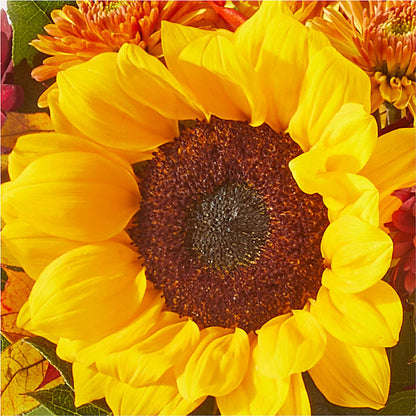 Sunny Side Bouquet –  Secret Garden Atx, Hutto TX