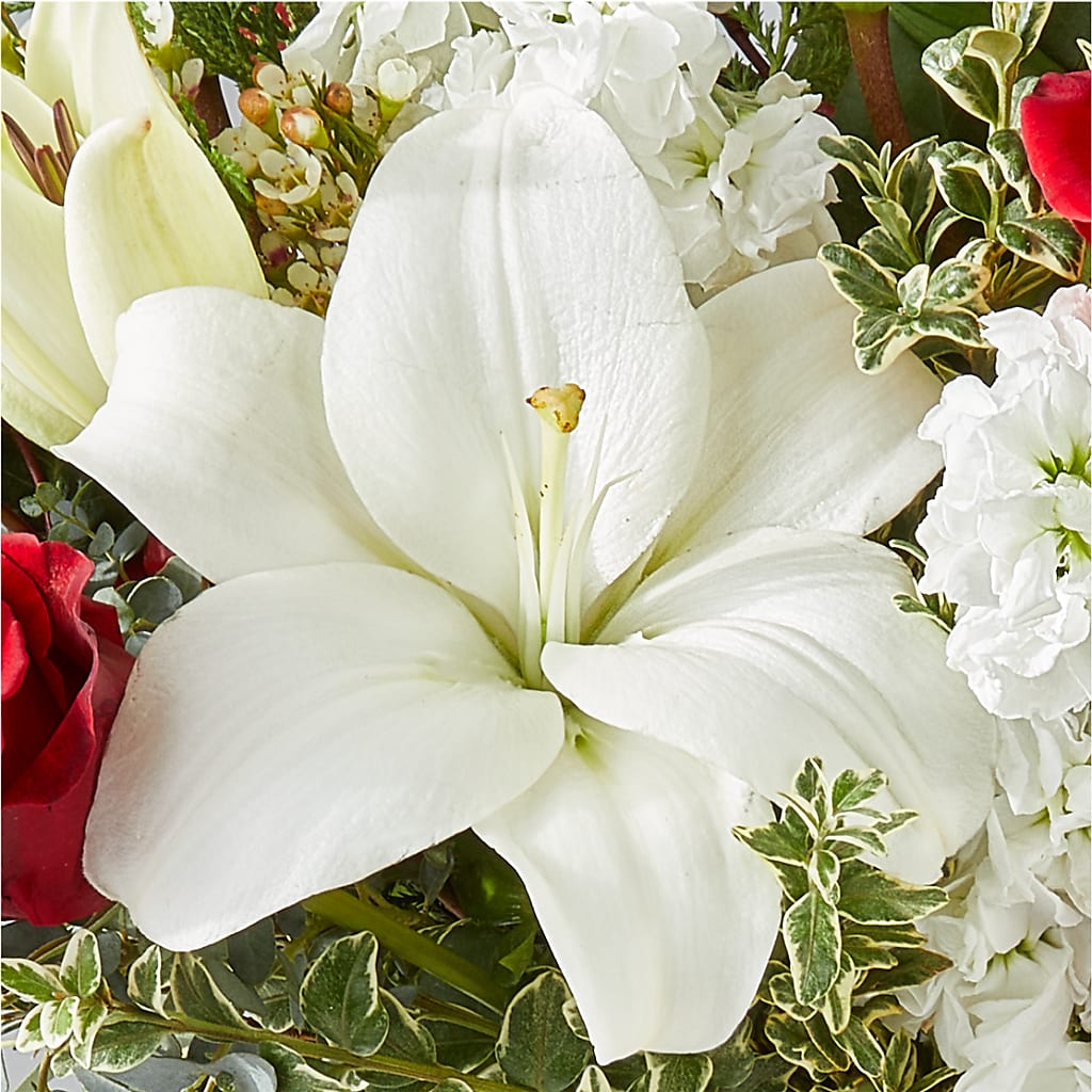 Twinkle Lights Bouquet –  Secret Garden Atx, Hutto TX