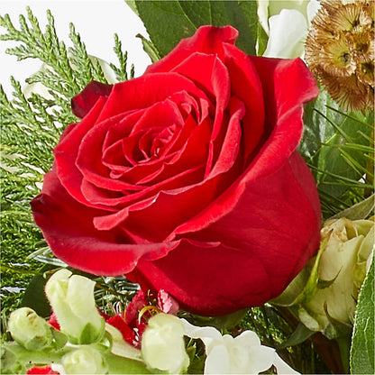 Deck the Halls Bouquet –  Secret Garden Atx, Hutto TX