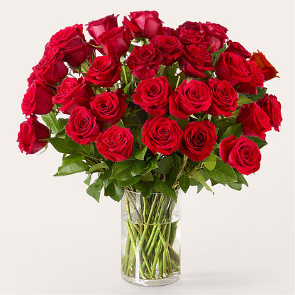 The One Red Rose Bouquet –  Secret Garden Atx, Hutto TX
