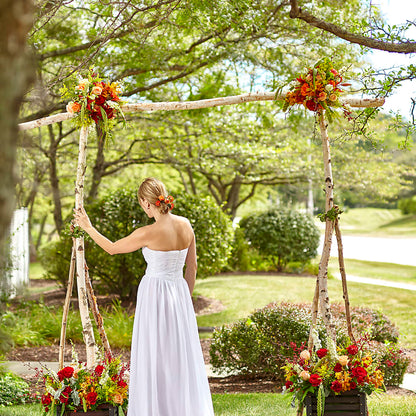 Arbor of Love Archway –  Secret Garden Atx, Hutto TX