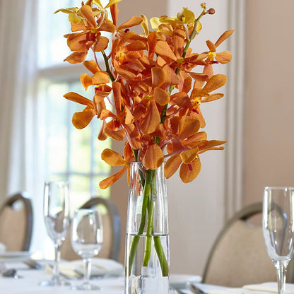 Orange Mokara Bud Vase –  Secret Garden Atx, Hutto TX