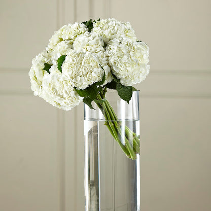 White Hydrangea Hand-Tied Bouquet –  Secret Garden Atx, Hutto TX