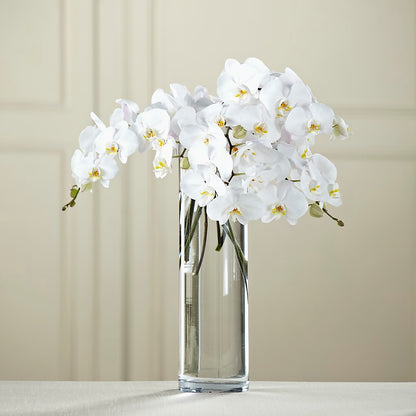 White Phalaenopsis Bouquet –  Secret Garden Atx, Hutto TX